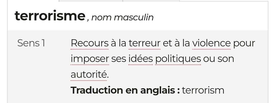 terrorisme, nom masculin
Sens 1. Recours à la terreur et à la violence pour imposer ses idées politiques ou son autorité.